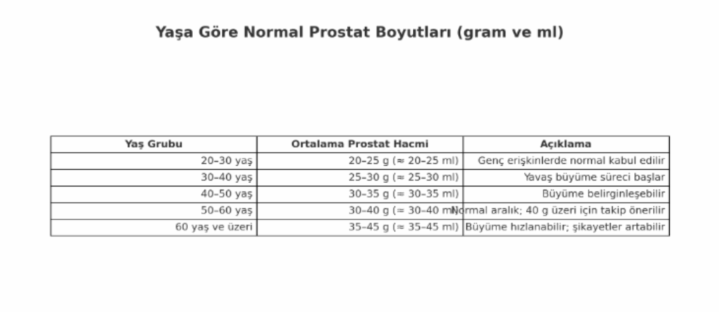 Yaşa Göre Prostat Boyutları