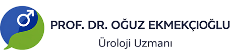 Prof. Dr. Oğuz EKMEKÇİOĞLU