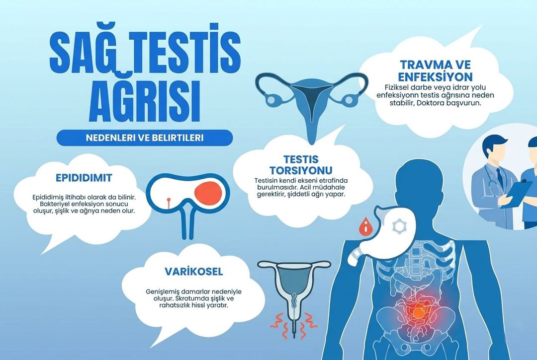 Sağ Testis Ağrısı Neden Olur?